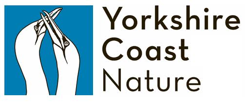 Yorkshire Coast Nature